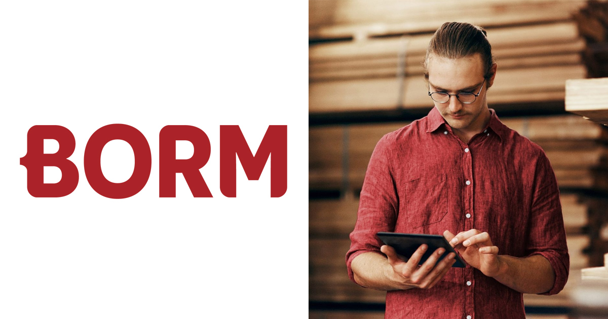 borm-software website preview